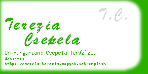 terezia csepela business card